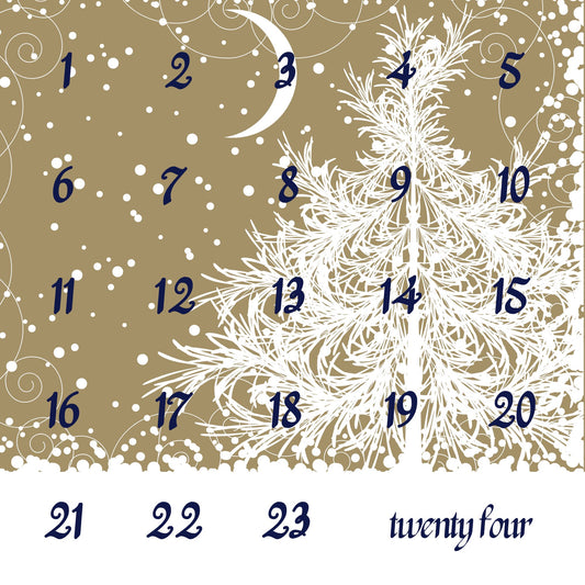 2025 Advent Calendar Pre-Order